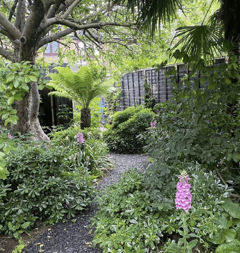 nico gardens